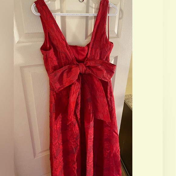 Elegant Red Textured A-Line Evening Dress - Picture 11 of 16